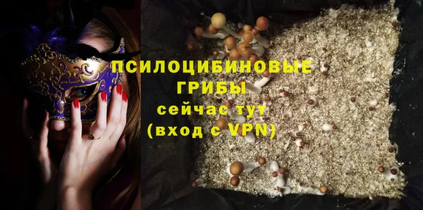 spice Богородск