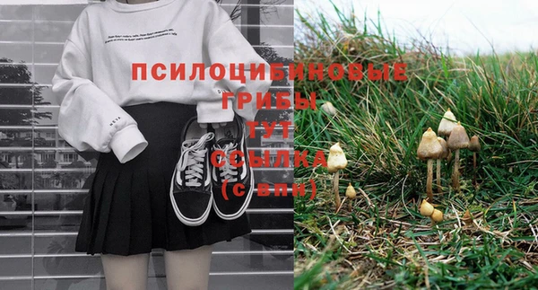 spice Богородск