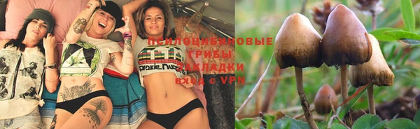 марки nbome Богданович
