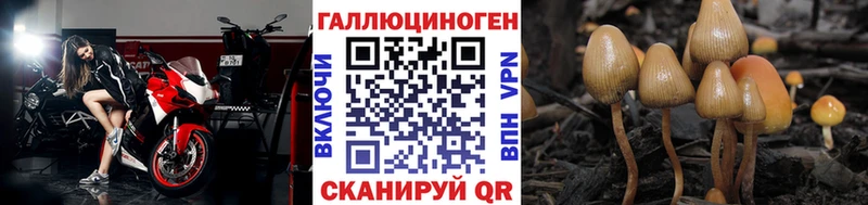 kraken ССЫЛКА  закладки  сайты даркнета Telegram  Псилоцибиновые грибы мухоморы  Ростов-на-Дону 